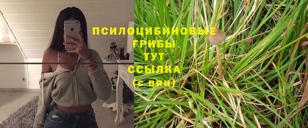 стаф Бугульма