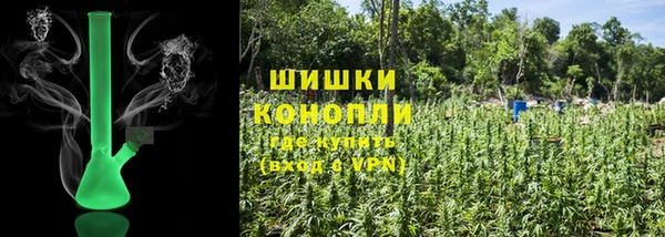 стаф Бугульма